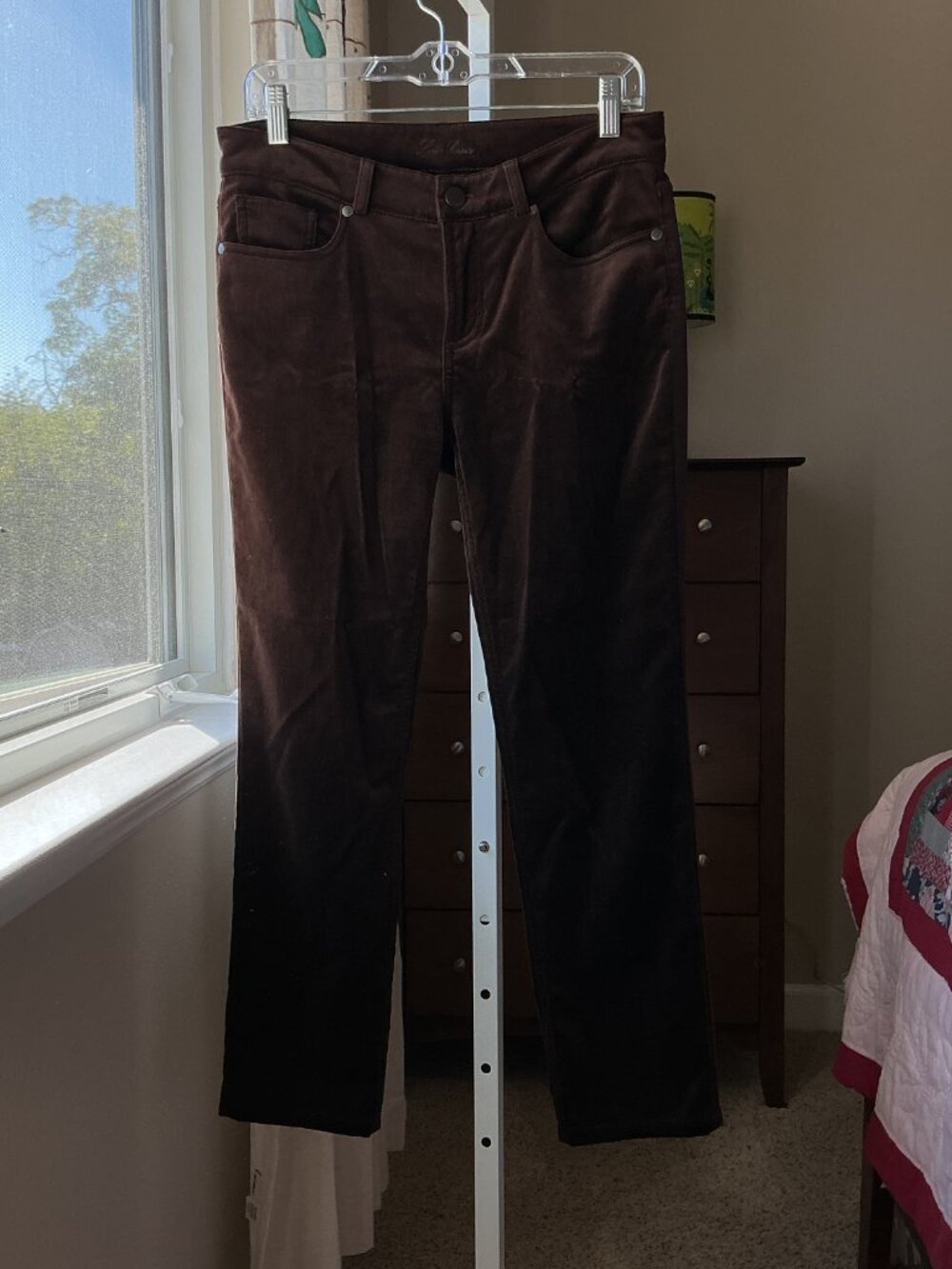 Loro Piana Chocolate Brown Velvet Cotton Blend 5 Pocket Pants EU 42 US 6